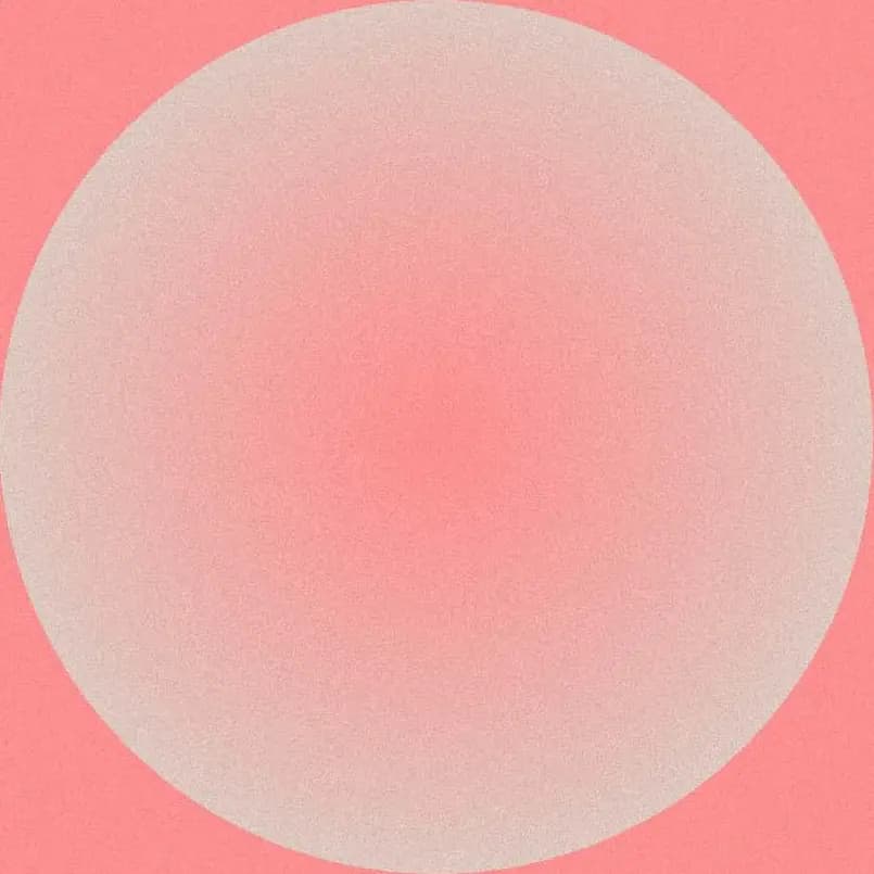 Vi AI assistant visual